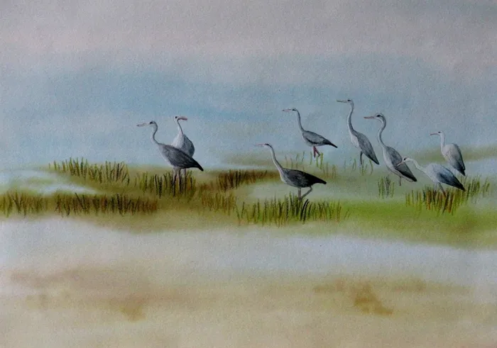 Watercolour by Jana Pszczólková