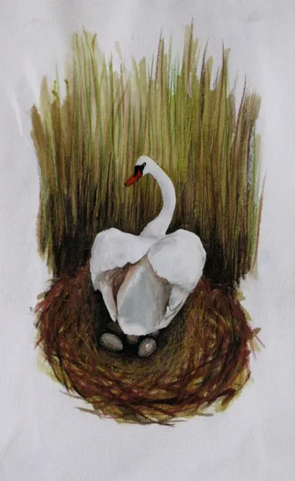 Watercolour by Jana Pszczólková